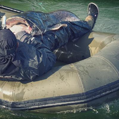 Schlauchboot Sportex Nutria Wallerangeln